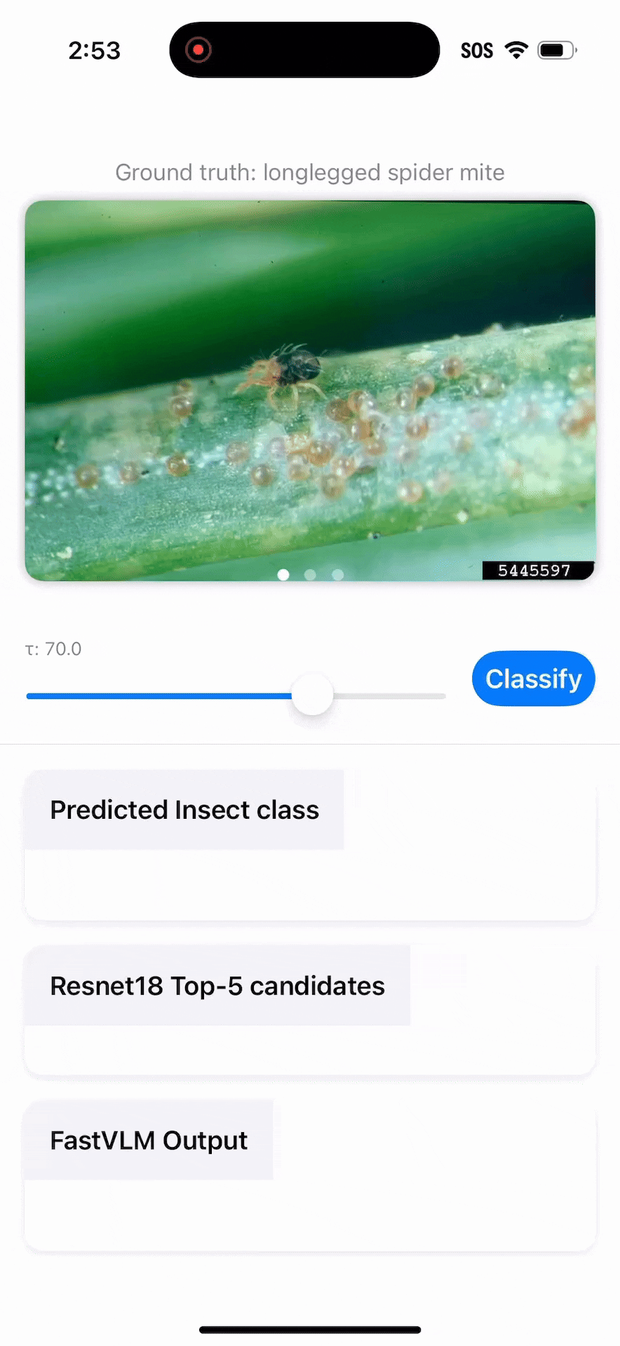 InsectAgent demo