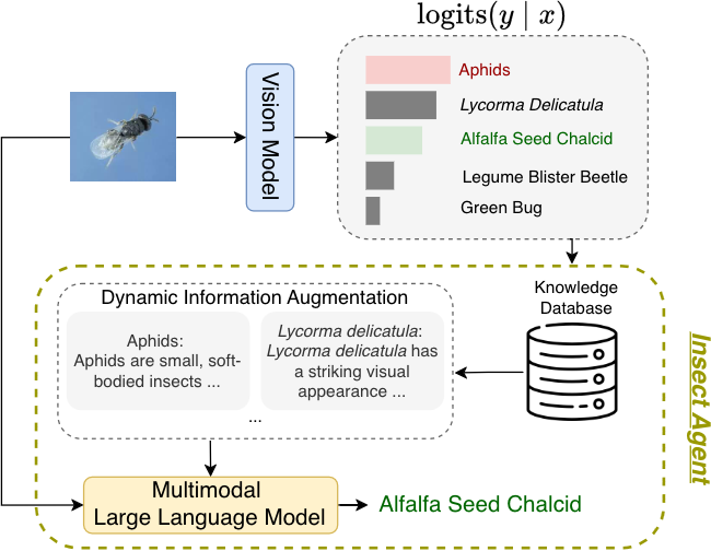 InsectAgent pipeline