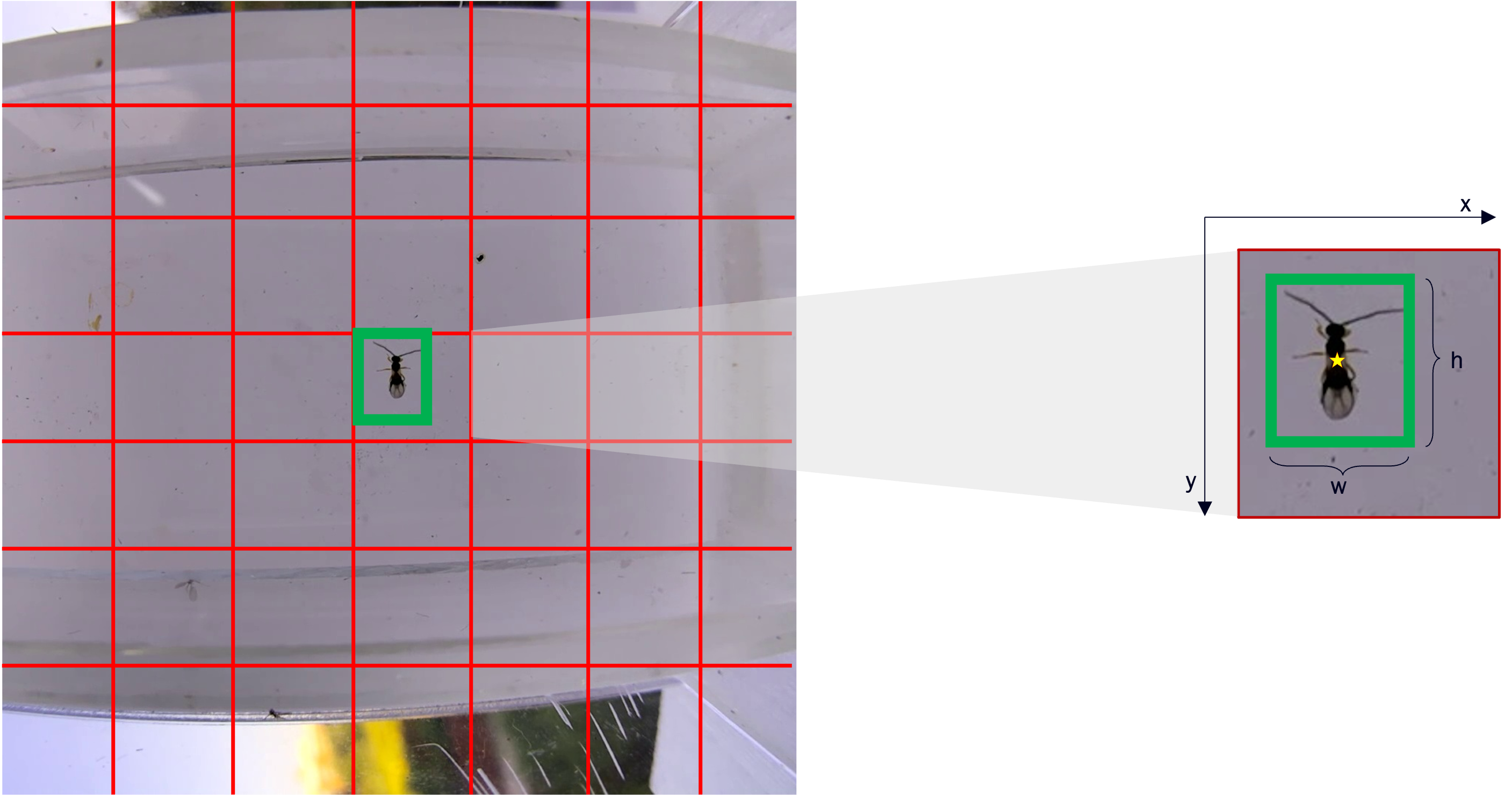 Bounding box representation